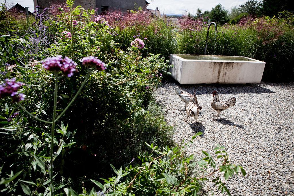 Le Coq Chantant B&b&boutique St-livres